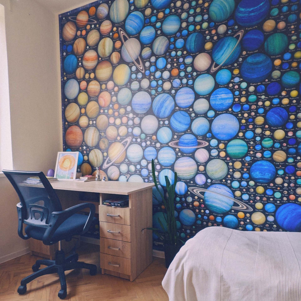 Exoplanet Zoo - Mural