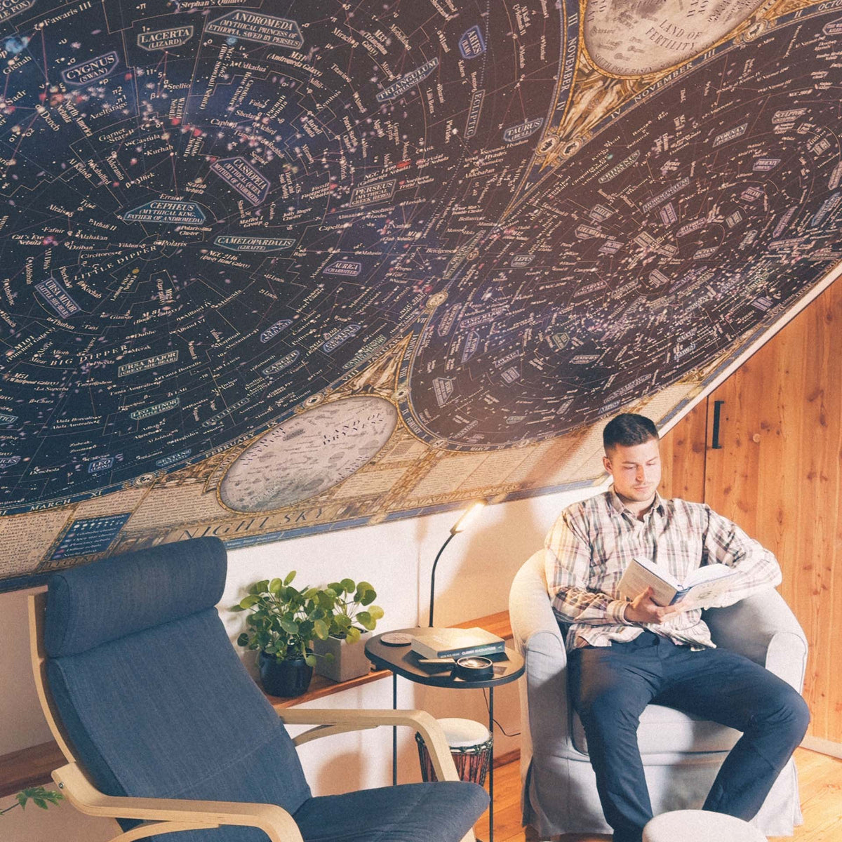 Map of the Night Sky - Mural