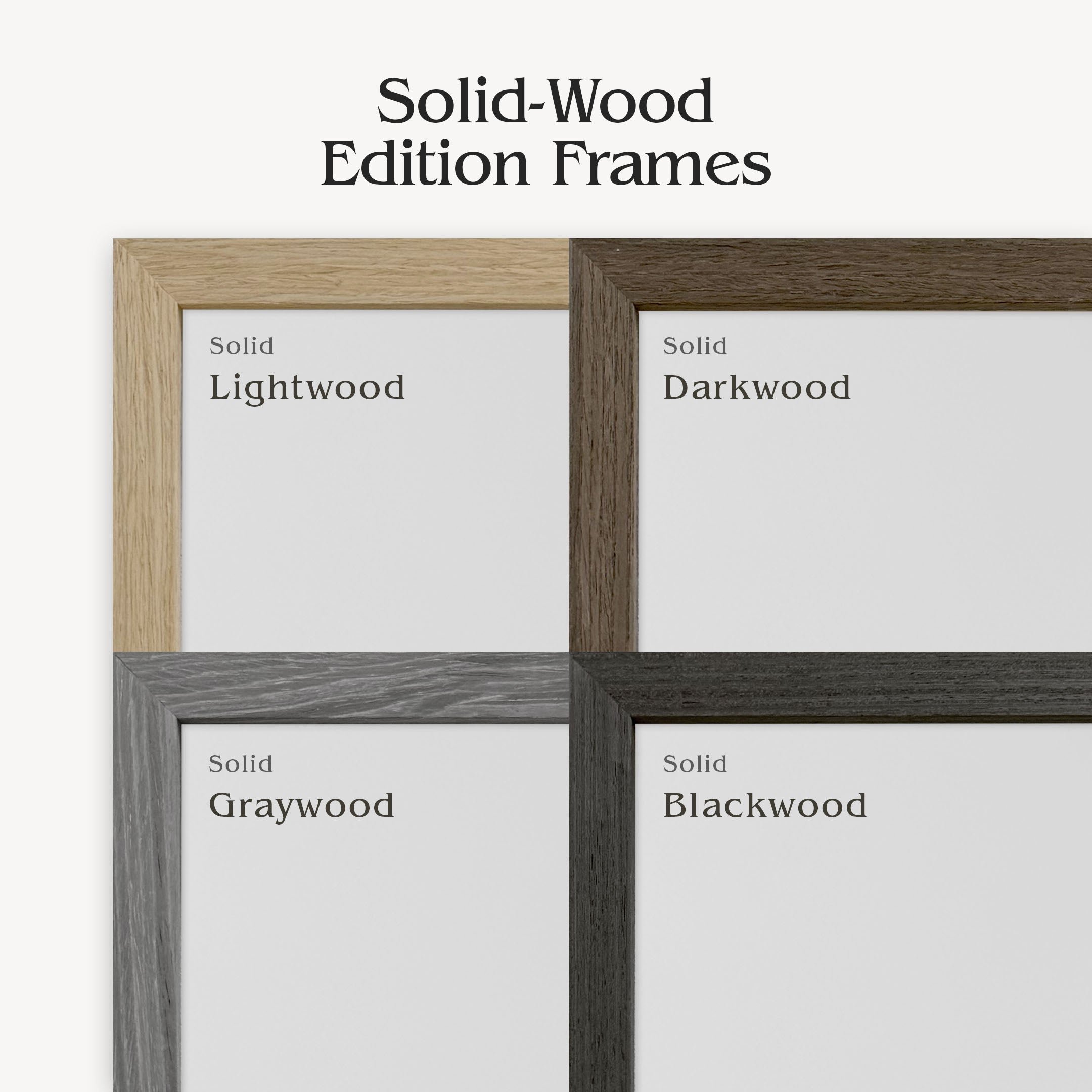 Icy and Rocky Worlds