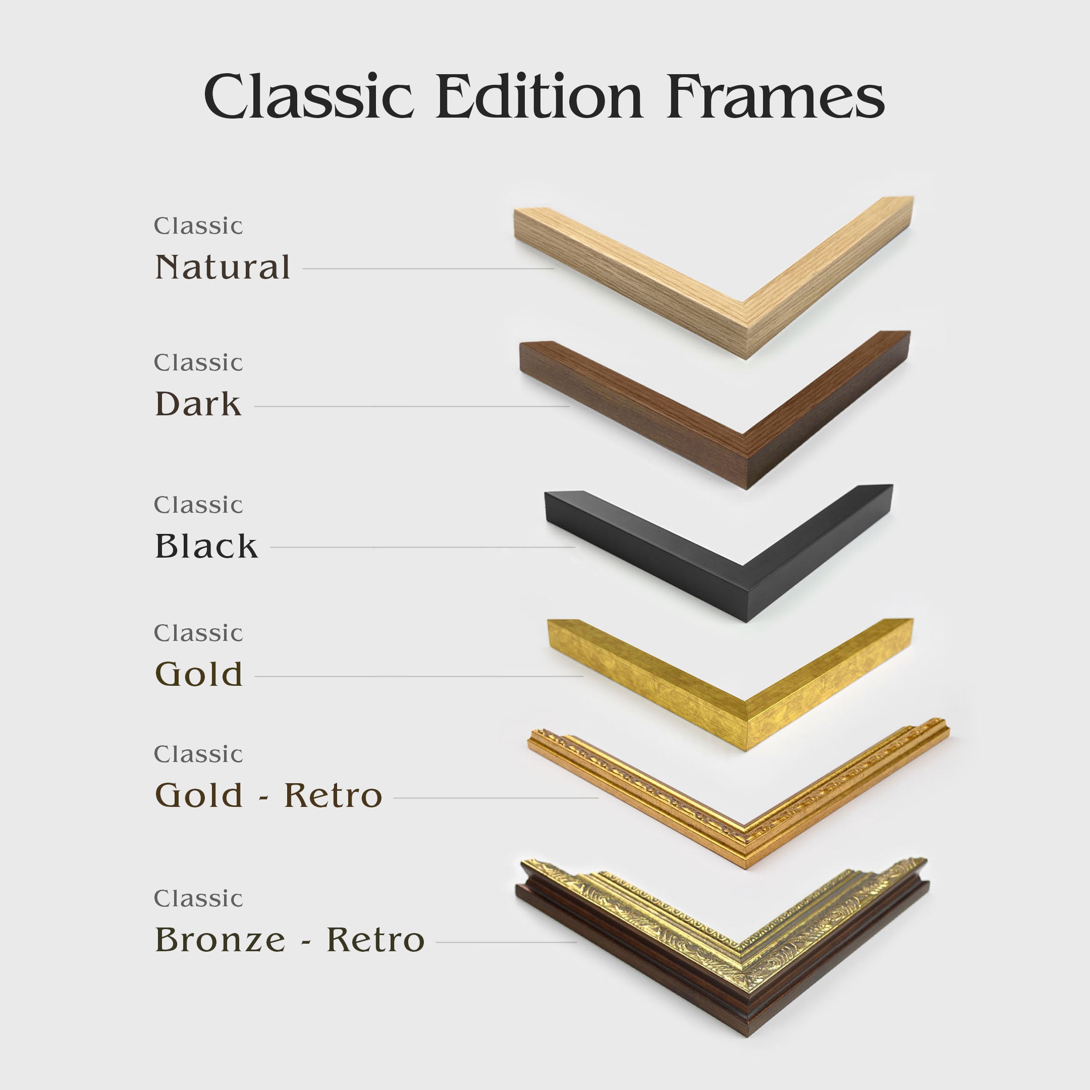 Icy and Rocky Worlds