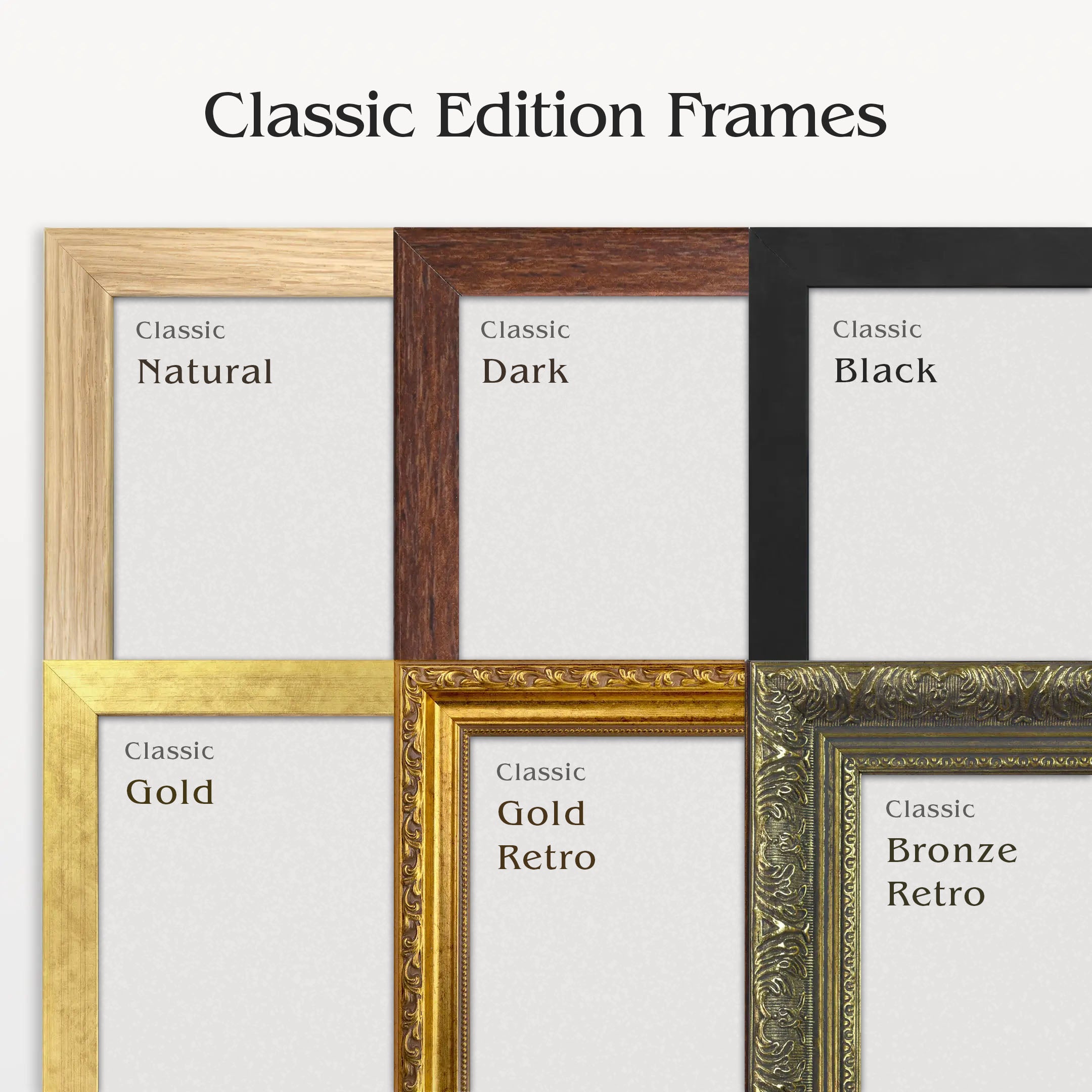 Icy and Rocky Worlds