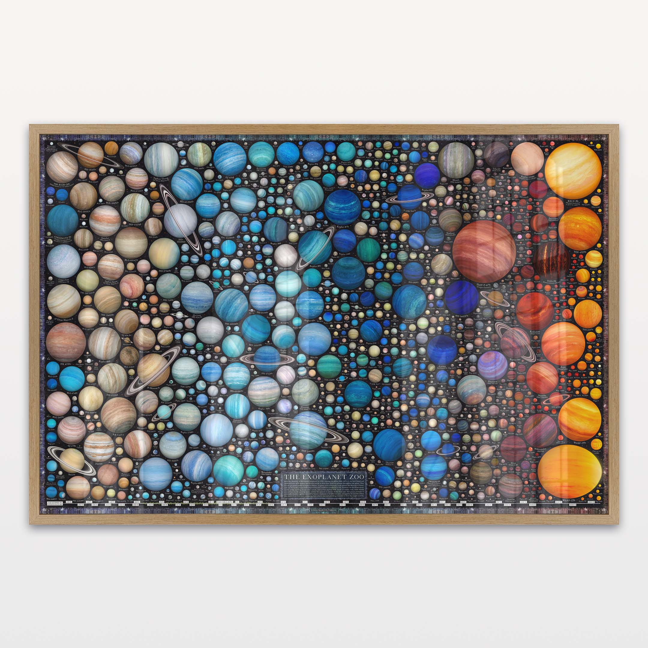 Exoplanet Zoo